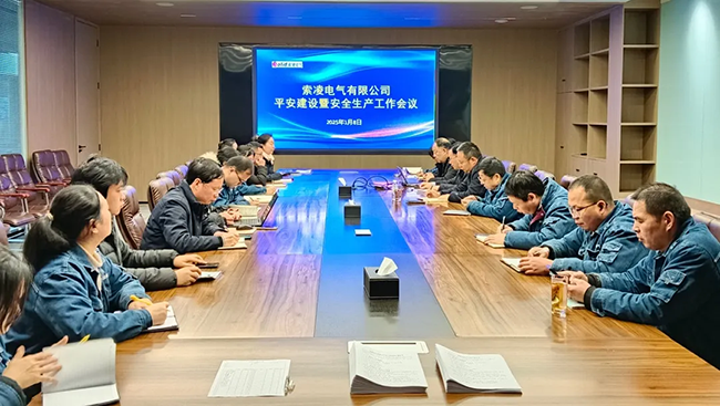 天行TIANXING（中国）年度安全工作会议：压实责任，护航发展